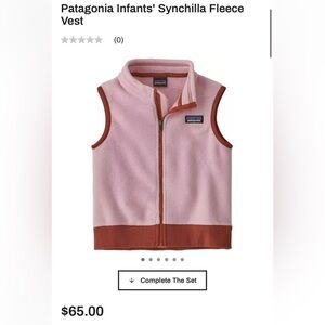 Patagonia Synchilla Pink and Brown Vest